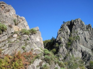  Paisaje Horizonle Cañón 